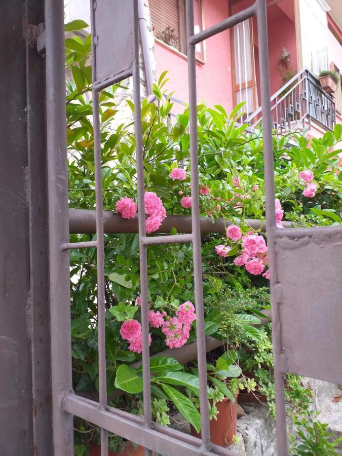 Bed & Breakfast La Rosa Rossa カーリ エクステリア 写真